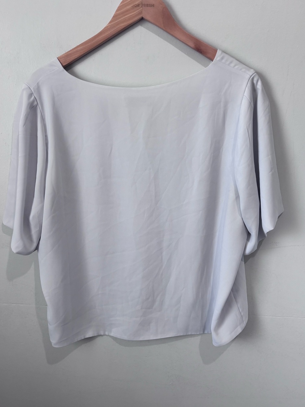 Babaton by Aritzia Murphy Short-Sleeve Crepe V-Neck Blouse | Size 1X - Picture 3 of 6